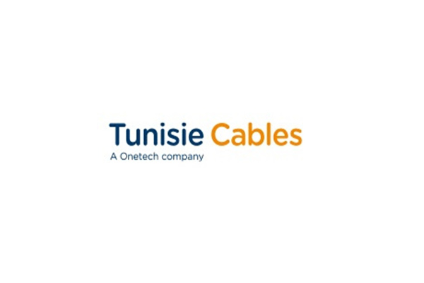 Transmissions à cardan pour le secteur du transport et des travaux publics